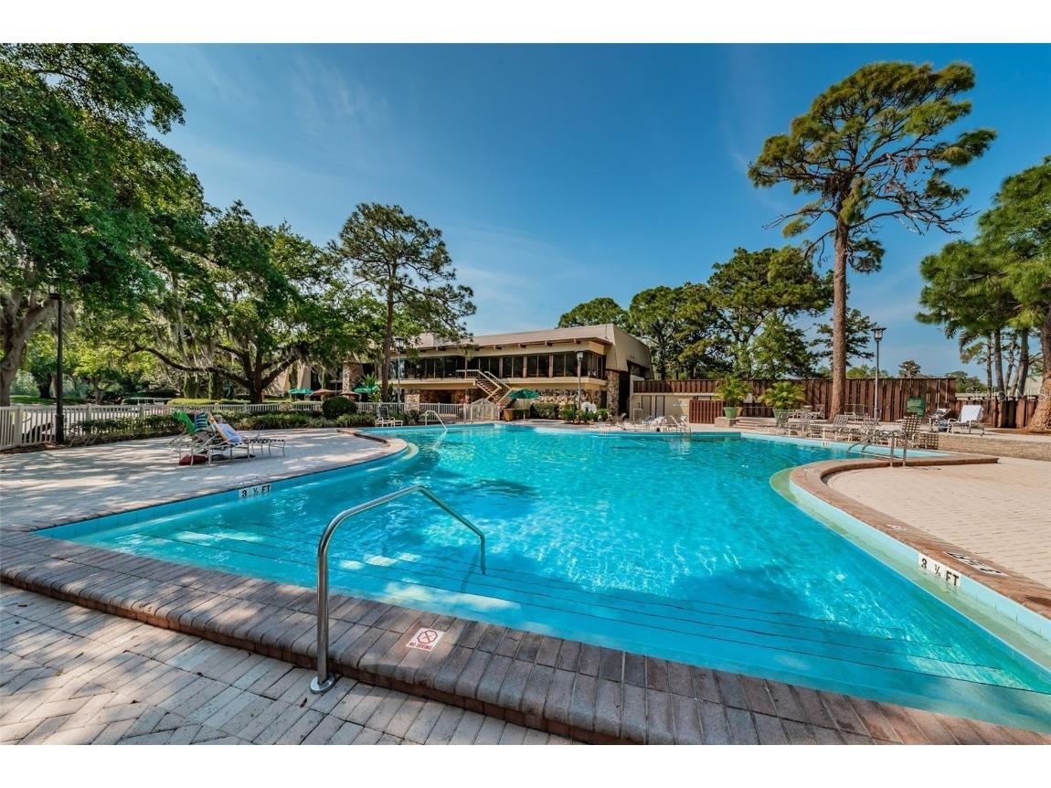 36750 Us Highway 19 N #3-209 Palm Harbor FL 34684 U8215979 image28