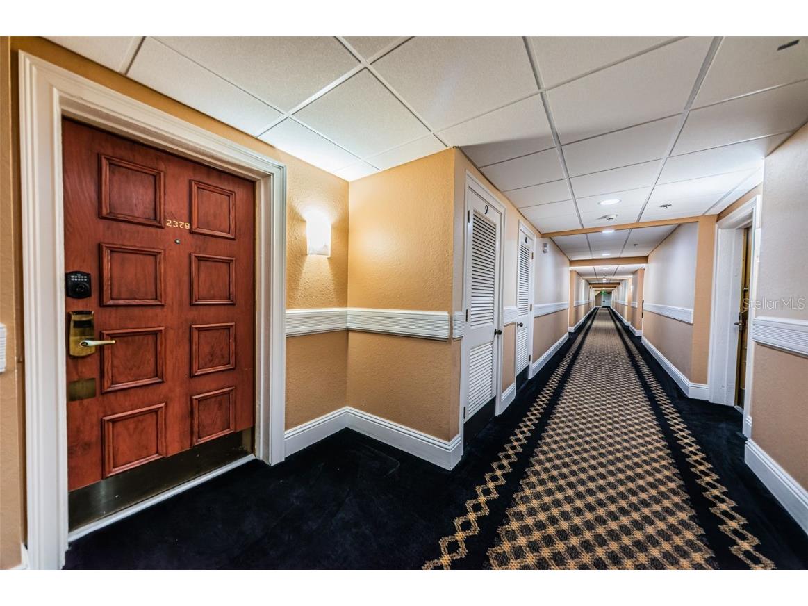 36750 Us Highway 19 N #3-209 Palm Harbor FL 34684 U8215979 image29