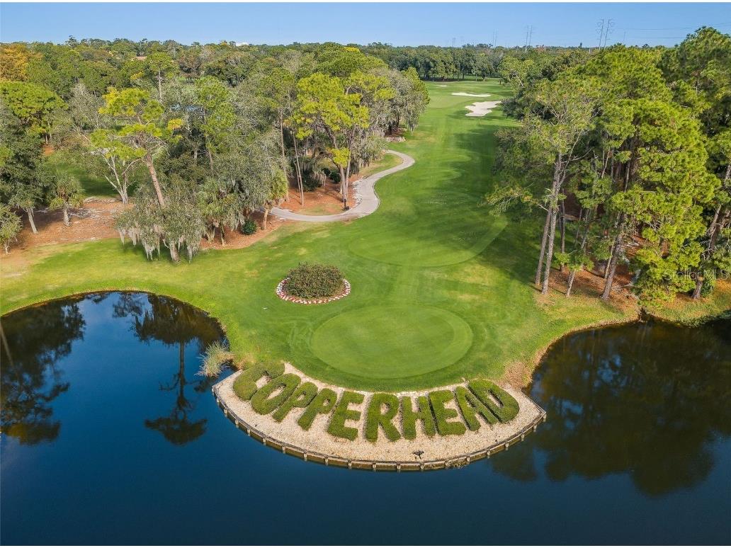 36750 Us Highway 19 N #3-209 Palm Harbor FL 34684 U8215979 image33