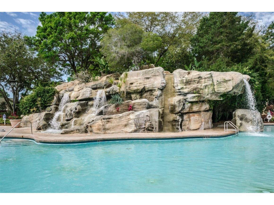 36750 Us Highway 19 N #3-209 Palm Harbor FL 34684 U8215979 image37