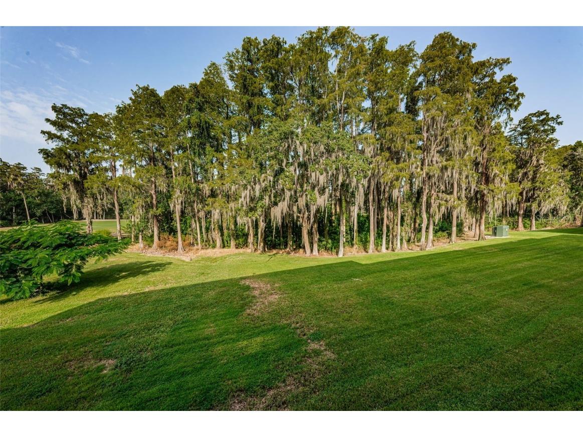 36750 Us Highway 19 N #3-209 Palm Harbor FL 34684 U8215979 image4