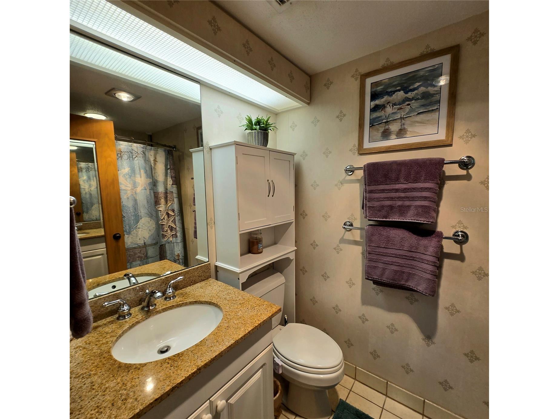 36750 Us Highway 19 N #4-107 Palm Harbor FL 34683 TB8498591 image10