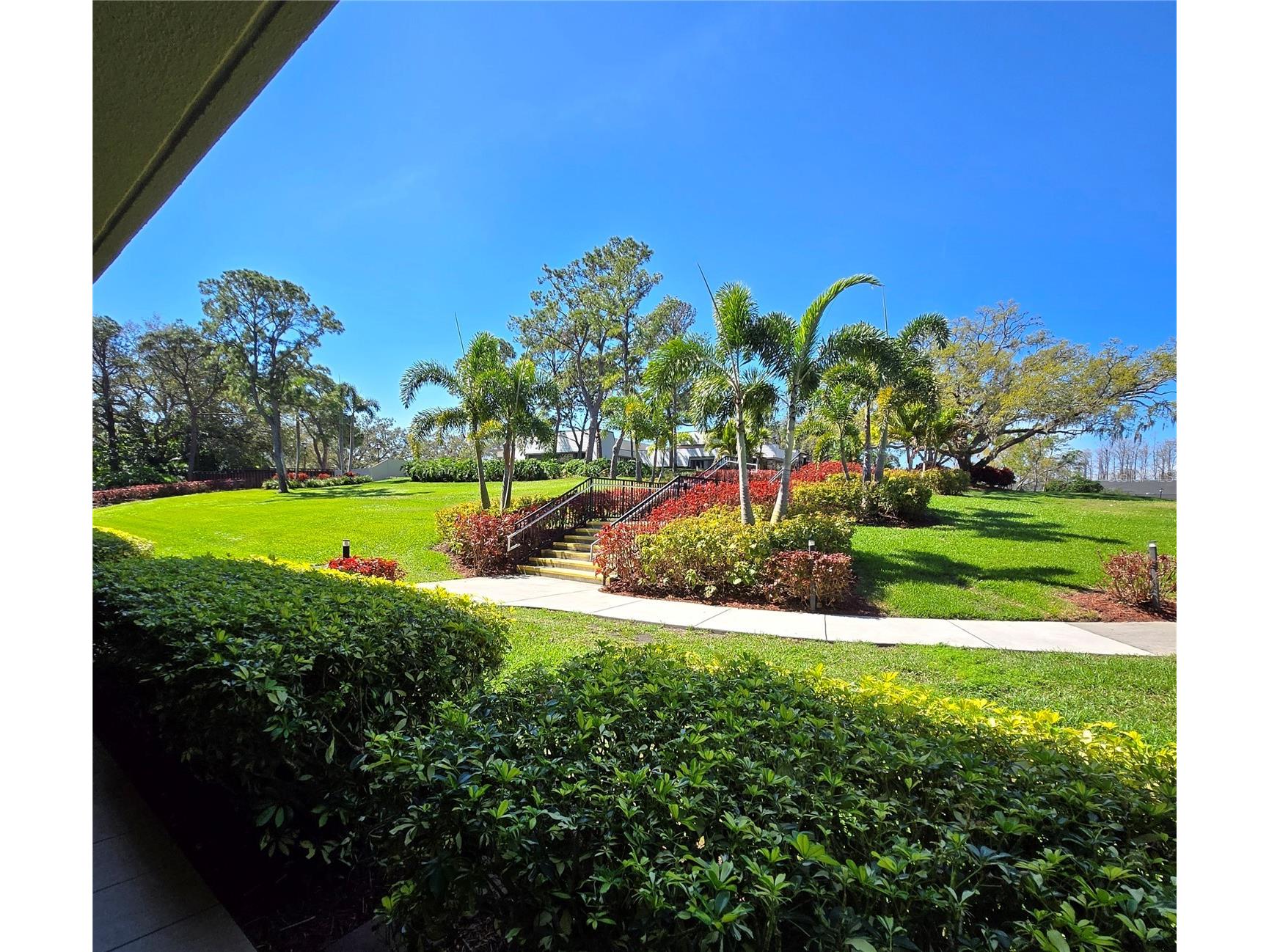 36750 Us Highway 19 N #4-107 Palm Harbor FL 34683 TB8498591 image14