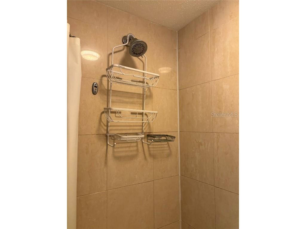 36750 Us Highway 19 N #4-117 Palm Harbor FL 34684 TB8454529 image21