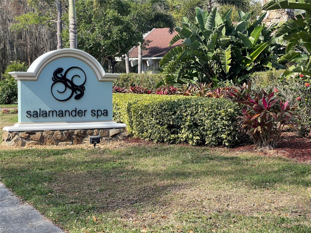 36750 Us Highway 19 N #4-205 Palm Harbor FL 34683 TB8442239 image13