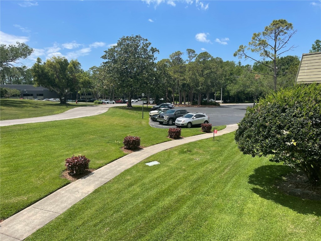 36750 Us Highway 19 N #4-205 Palm Harbor FL 34683 TB8442239 image16