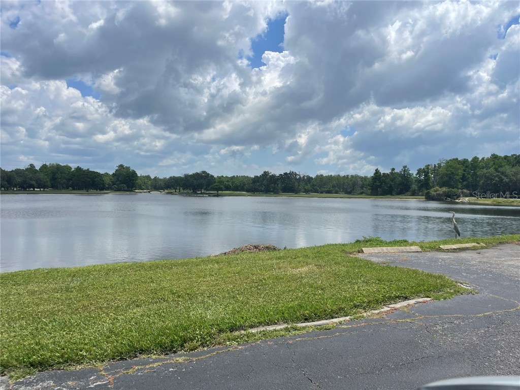 36750 Us Highway 19 N #4-205 Palm Harbor FL 34683 TB8442239 image17