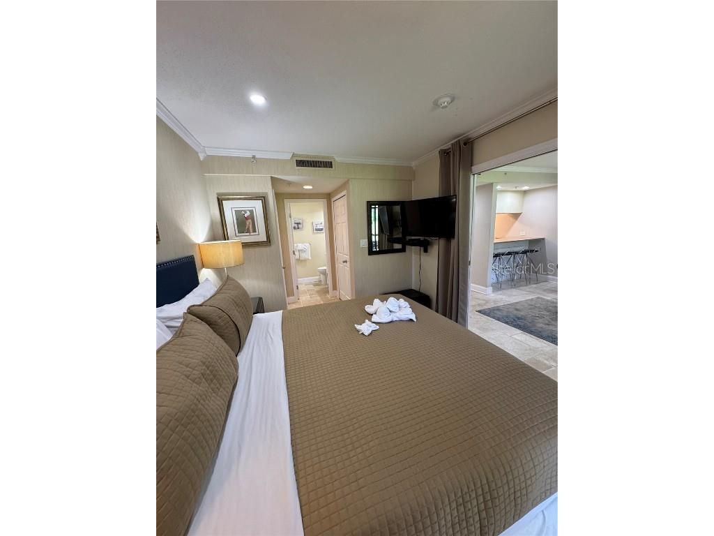 36750 Us Highway 19 N #4-209 Palm Harbor FL 34683 TB8425180 image18