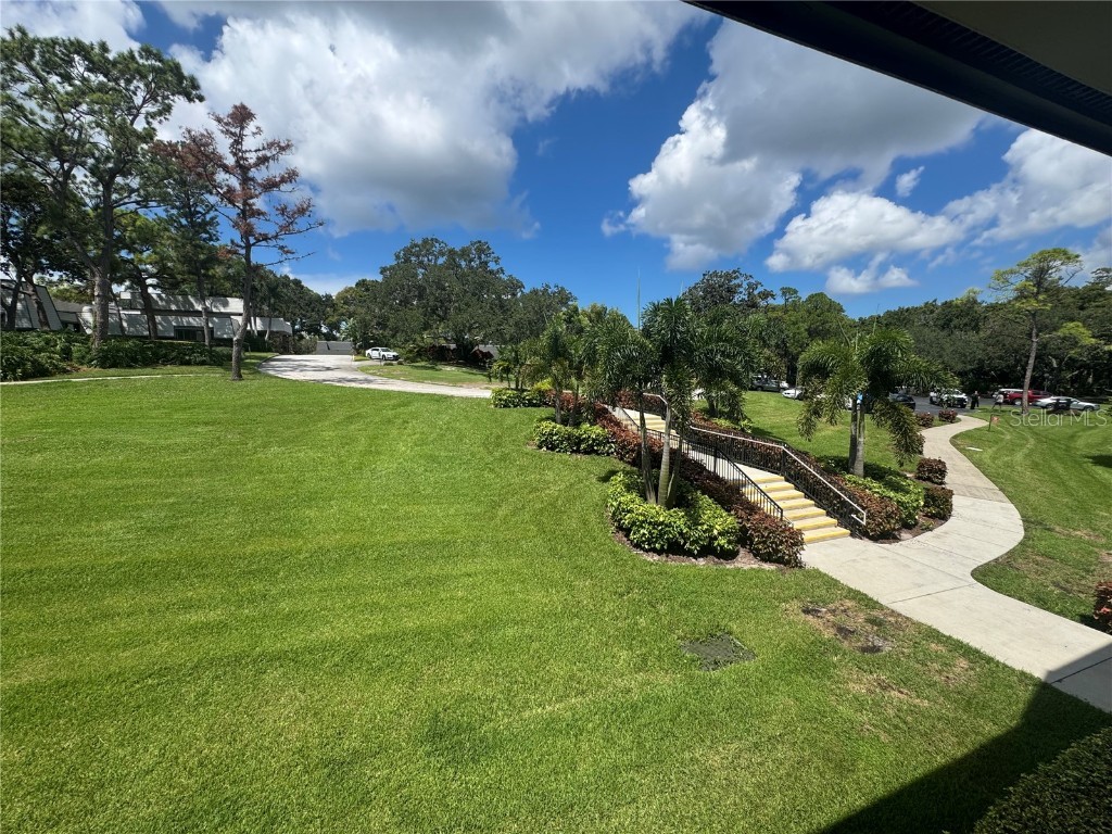 36750 Us Highway 19 N #4-209 Palm Harbor FL 34683 TB8425180 image33