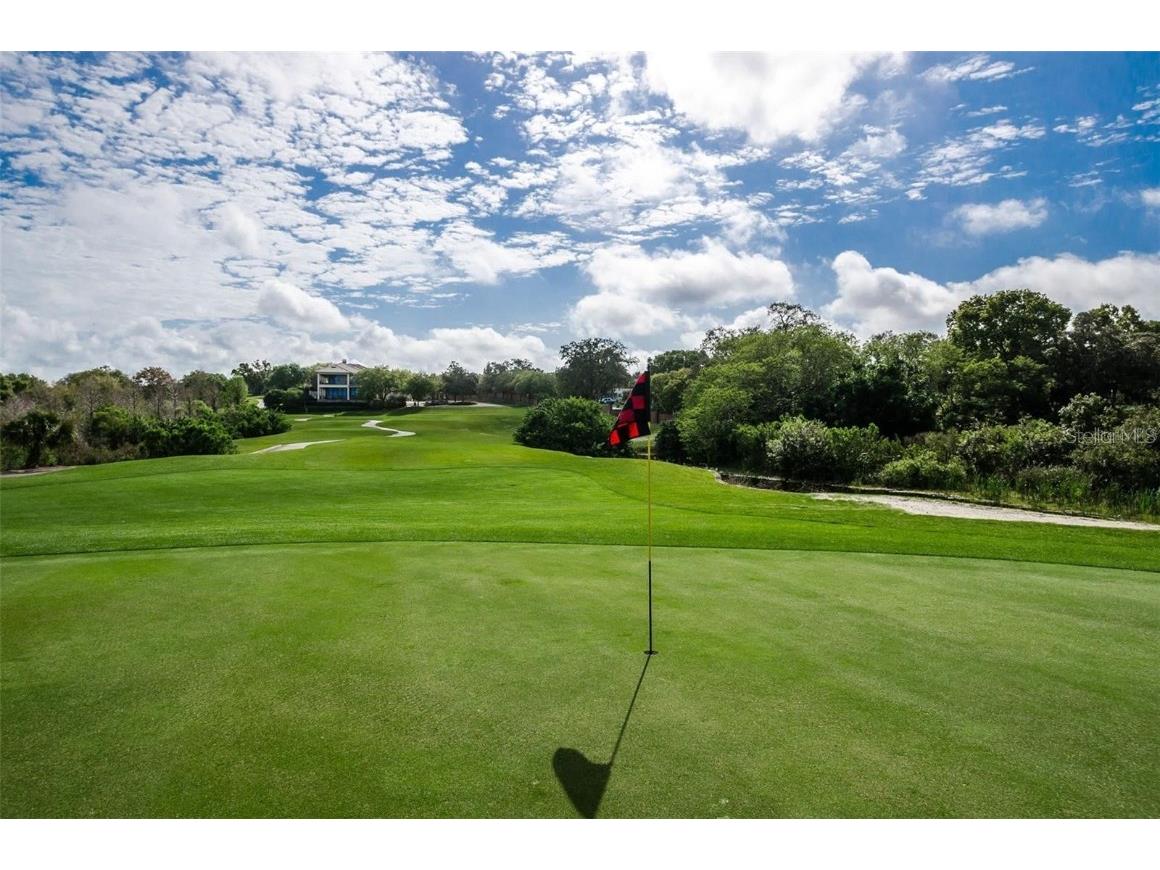 36750 Us Highway 19 N #4-209 Palm Harbor FL 34683 TB8425180 image37