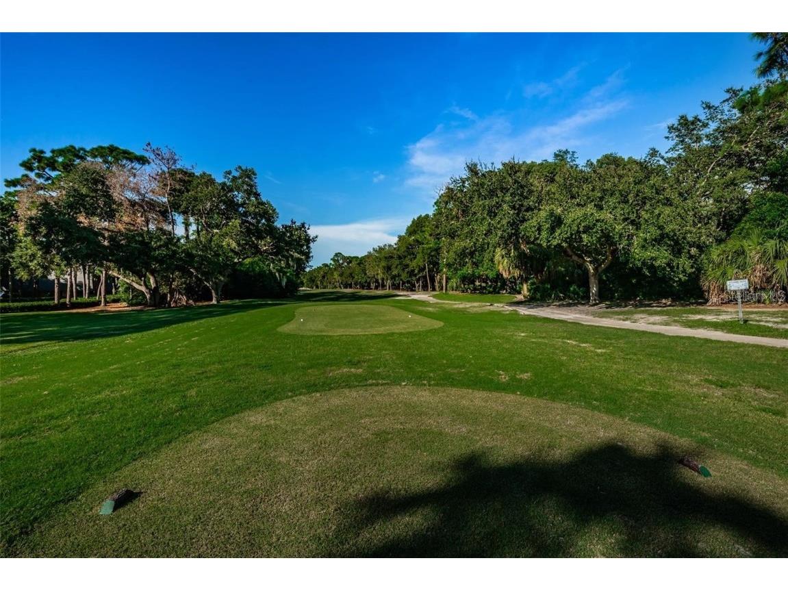 36750 Us Highway 19 N #4-209 Palm Harbor FL 34683 TB8425180 image40