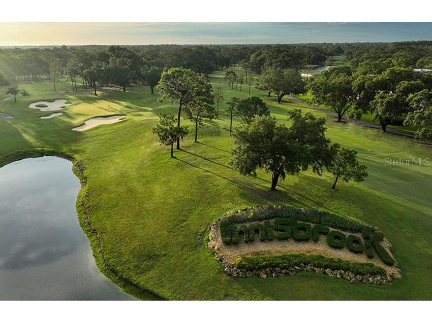 36750 Us Highway 19 N #4-209 Palm Harbor FL 34683 TB8425180 image41