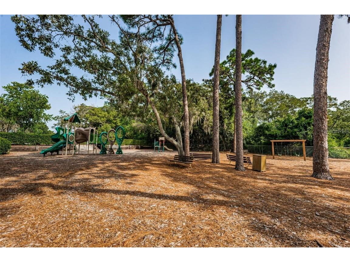 36750 Us Highway 19 N #4-209 Palm Harbor FL 34683 TB8425180 image48