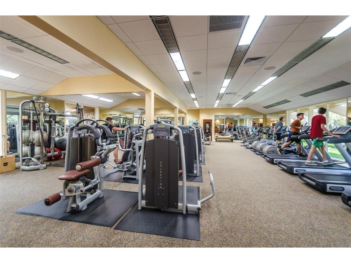 36750 Us Highway 19 N #4-209 Palm Harbor FL 34683 TB8425180 image60