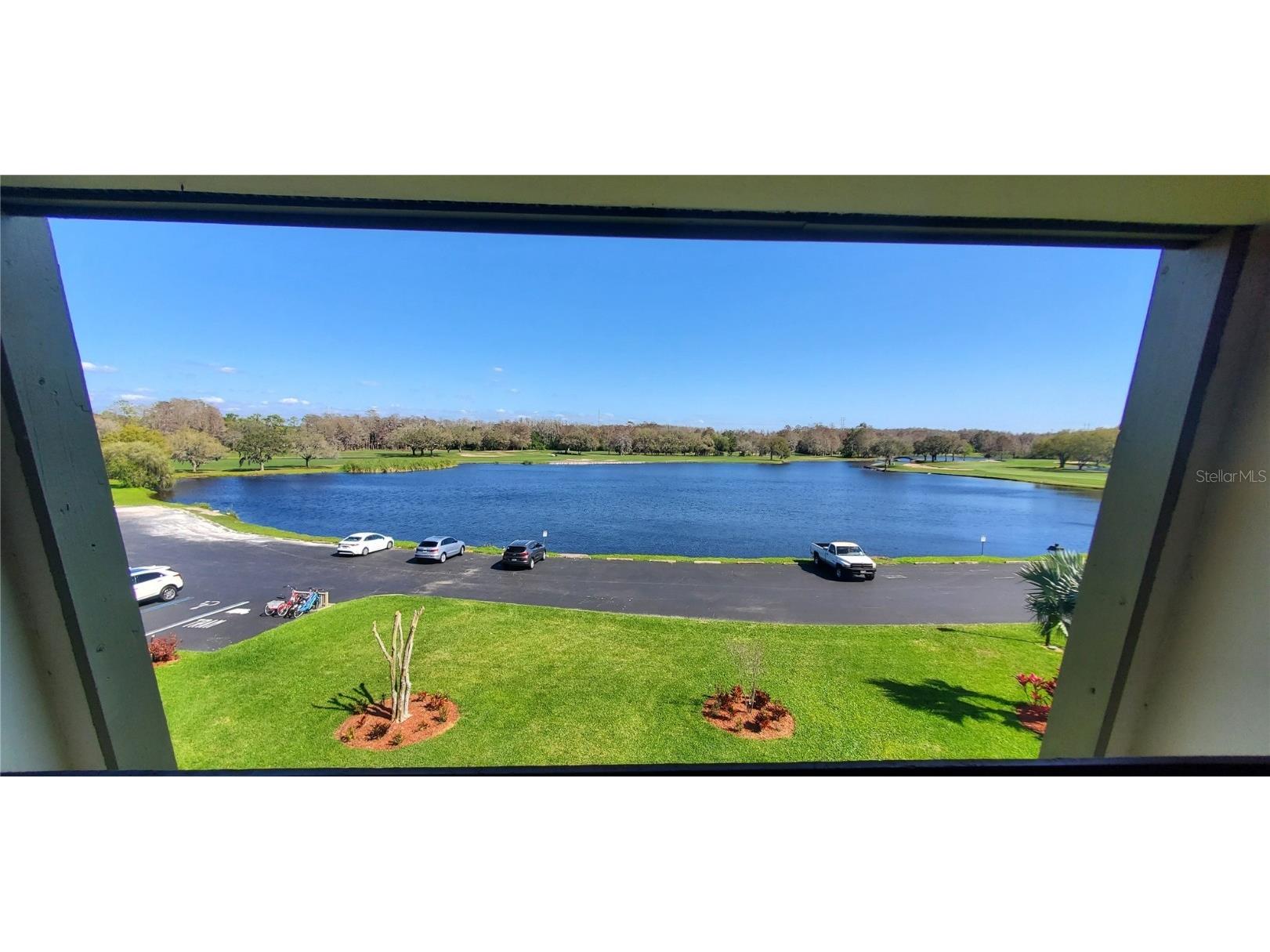 36750 Us Highway 19 N #4-302 Palm Harbor FL 34684 T3431836 image1