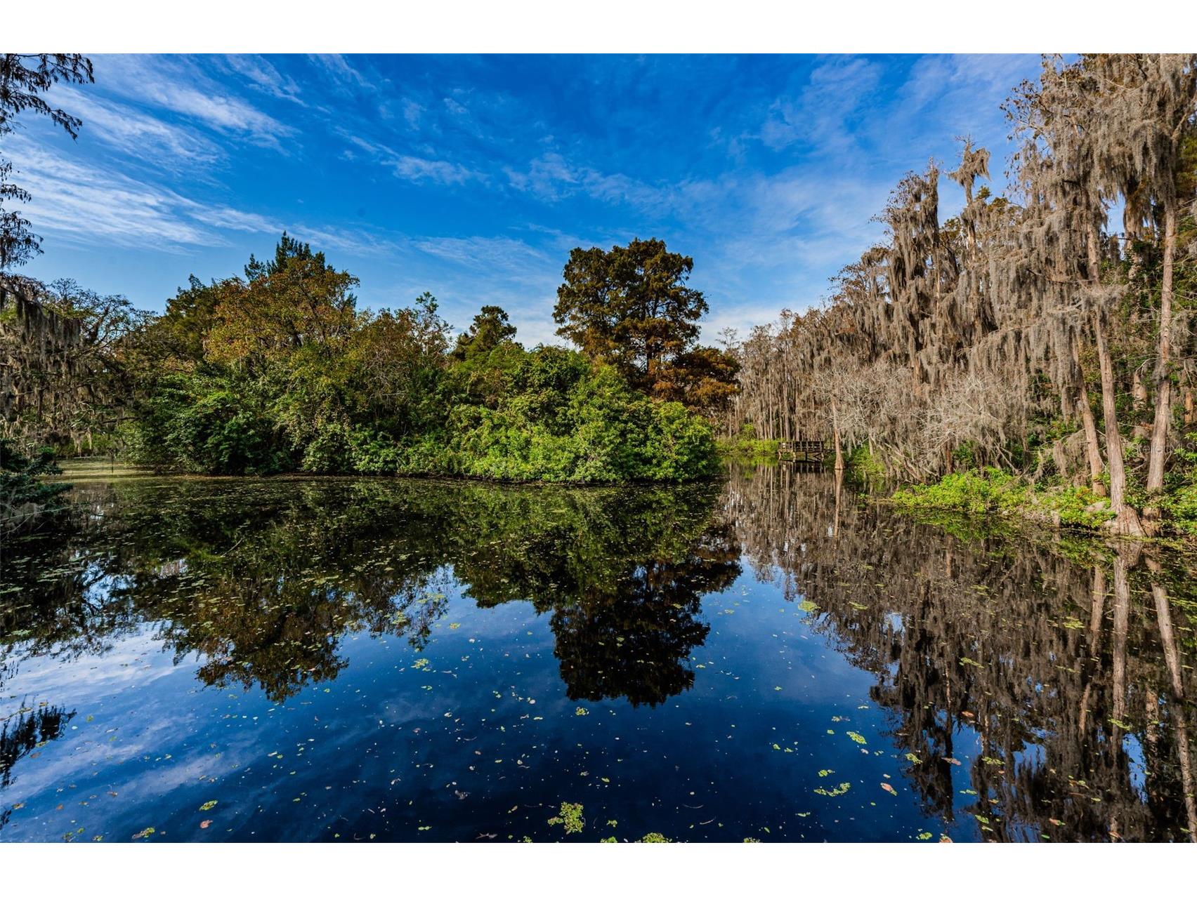 36750 Us Highway 19 N #5-104 Palm Harbor FL 34683 TB8468832 image34