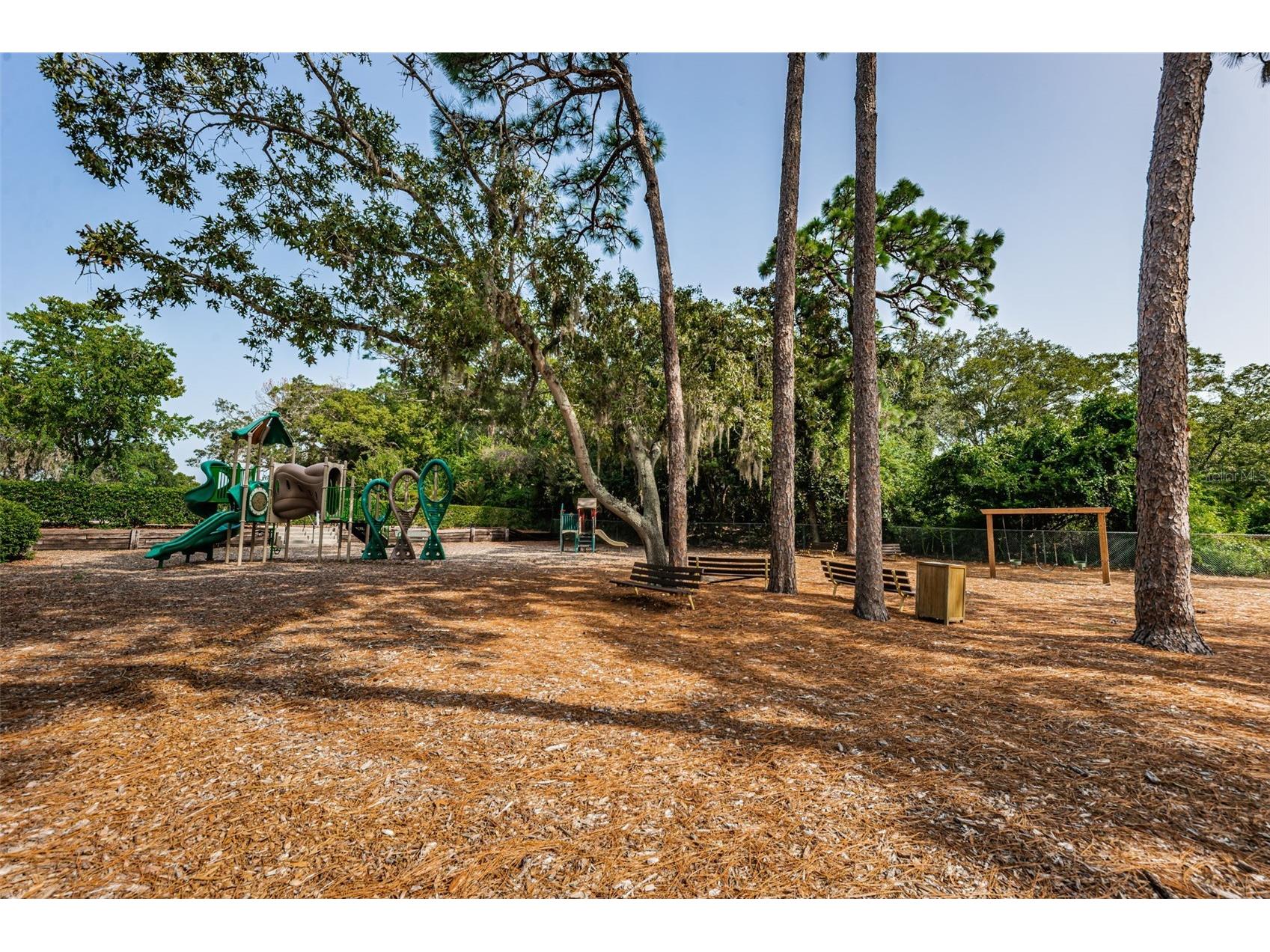 36750 Us Highway 19 N #5-104 Palm Harbor FL 34683 TB8468832 image36