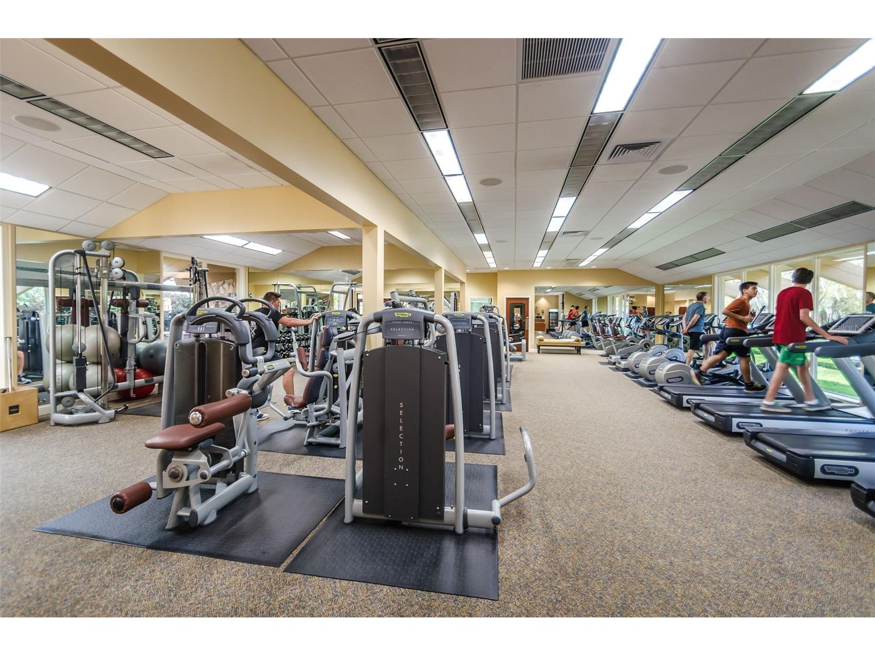 36750 Us Highway 19 N #5-104 Palm Harbor FL 34683 TB8468832 image39