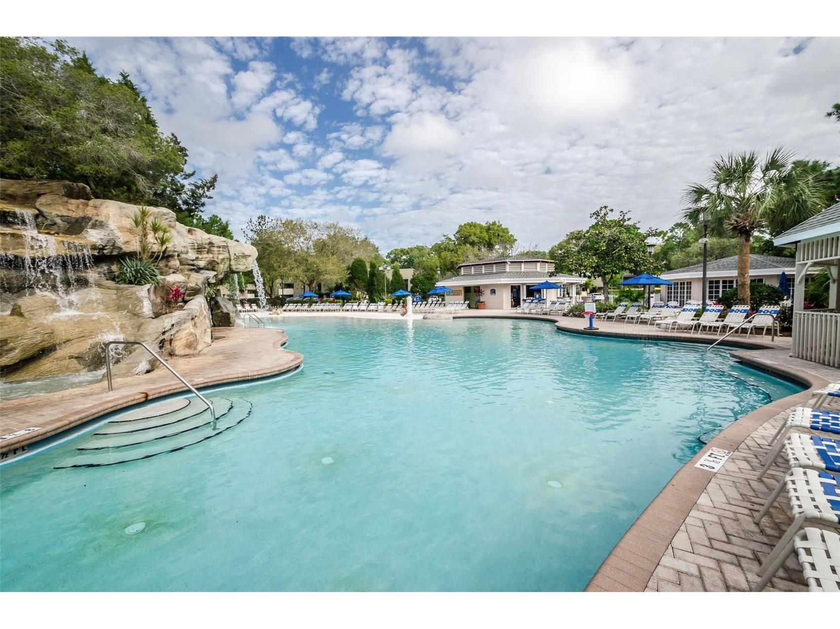 36750 Us Highway 19 N #5-104 Palm Harbor FL 34683 TB8468832 image44