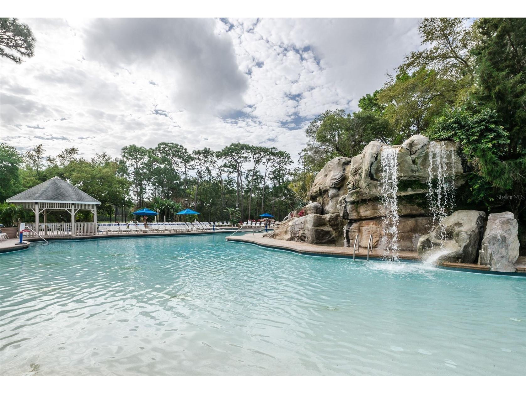 36750 Us Highway 19 N #5-104 Palm Harbor FL 34683 TB8468832 image49