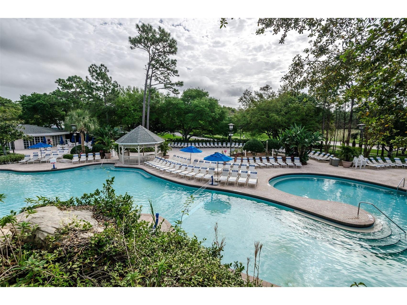 36750 Us Highway 19 N #5-104 Palm Harbor FL 34683 TB8468832 image53