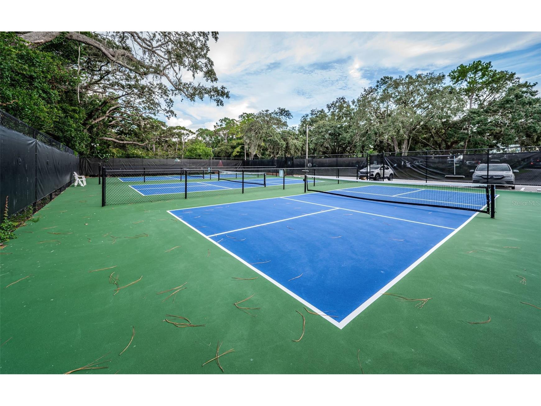 36750 Us Highway 19 N #5-104 Palm Harbor FL 34683 TB8468832 image61