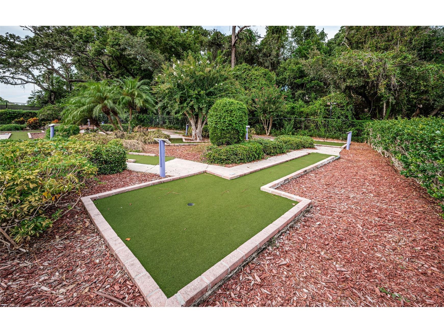 36750 Us Highway 19 N #5-104 Palm Harbor FL 34683 TB8468832 image62