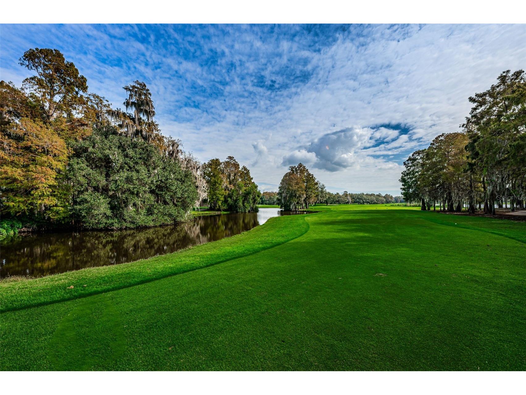 36750 Us Highway 19 N #5-104 Palm Harbor FL 34683 TB8468832 image70