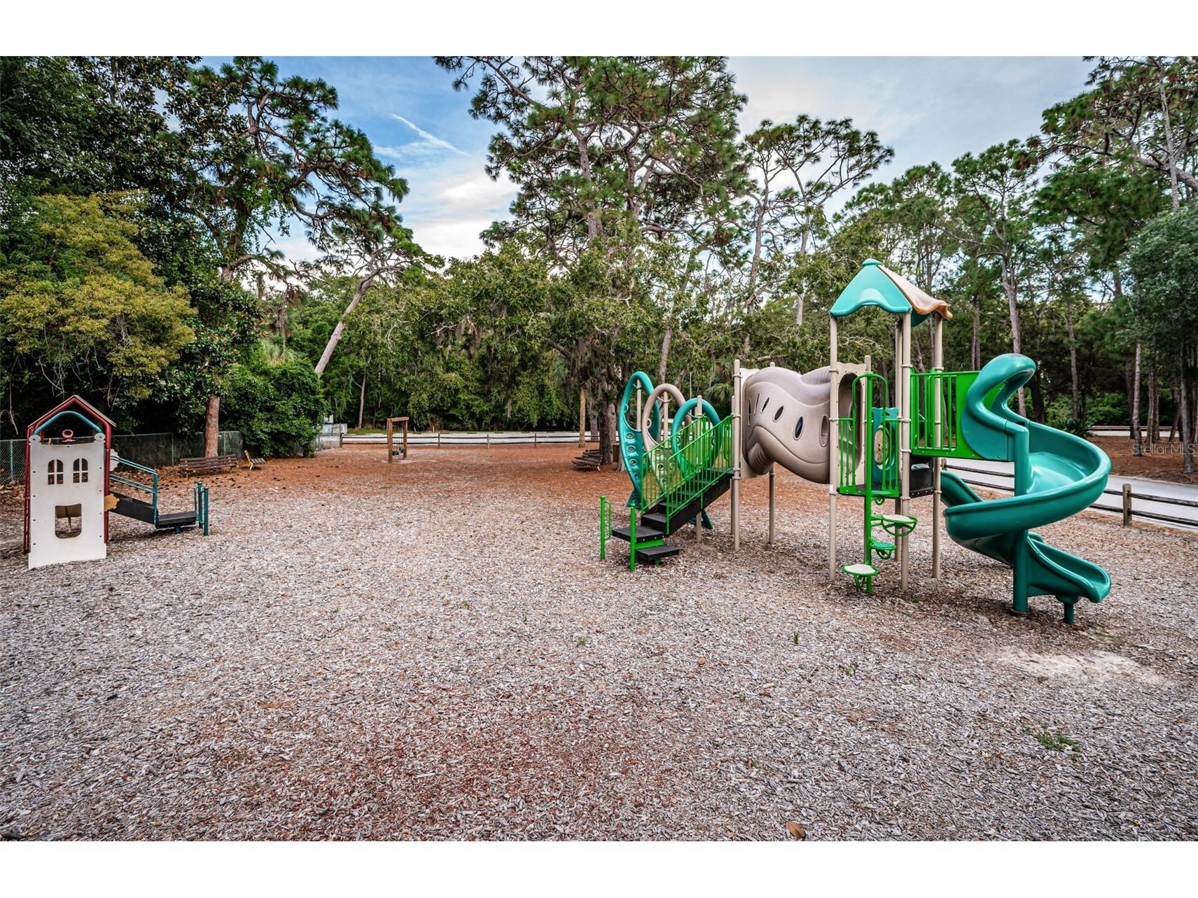 36750 Us Highway 19 N #5-104 Palm Harbor FL 34683 TB8468832 image79