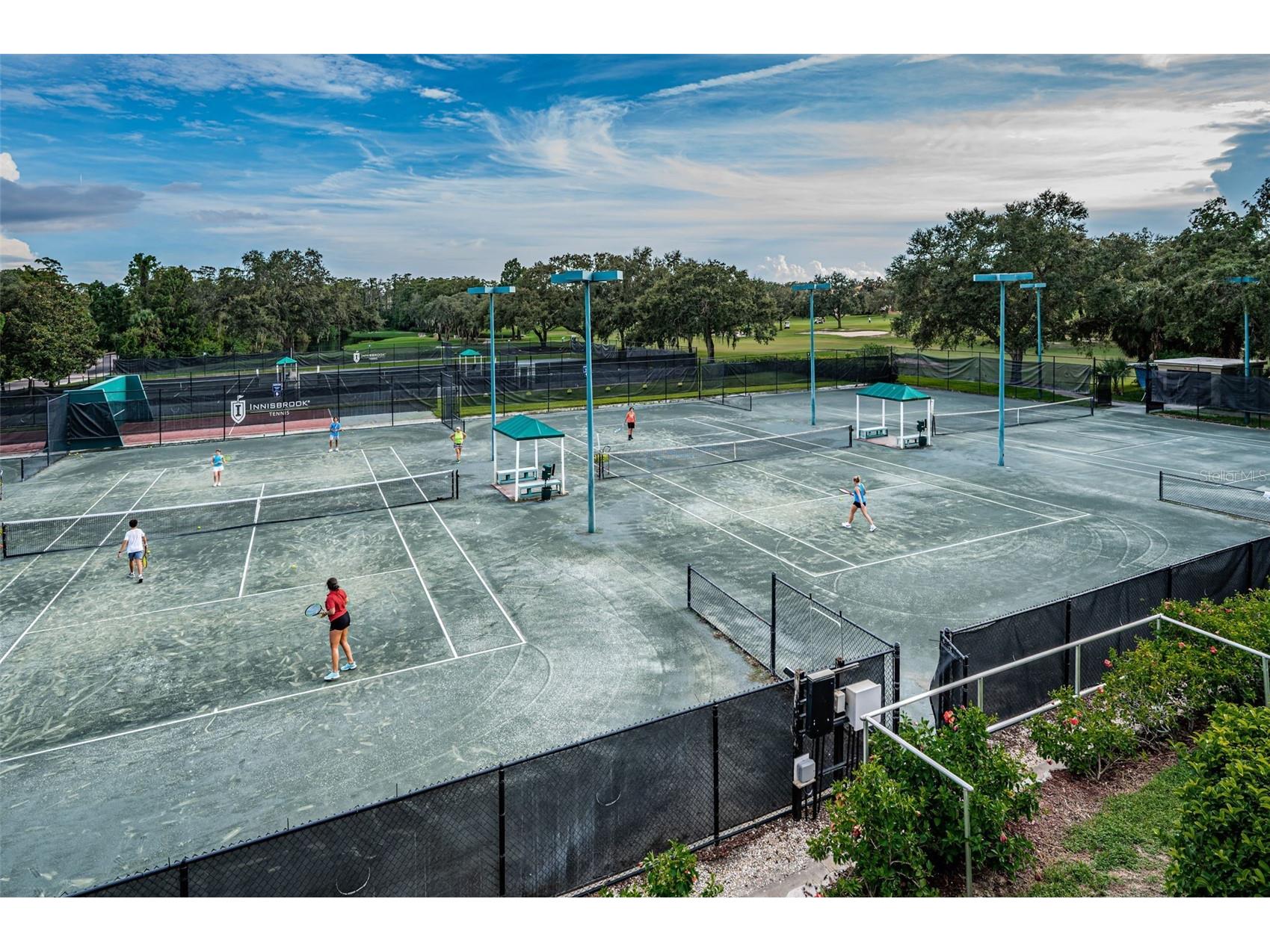 36750 Us Highway 19 N #5-104 Palm Harbor FL 34683 TB8468832 image96