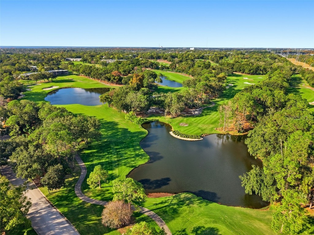 36750 Us Highway 19 N #5-202 Palm Harbor FL 34683 TB8454984 image33