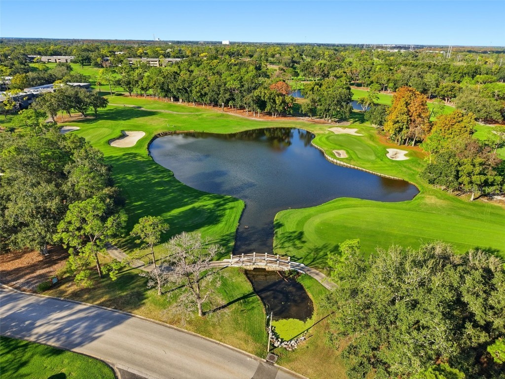 36750 Us Highway 19 N #5-202 Palm Harbor FL 34683 TB8454984 image34