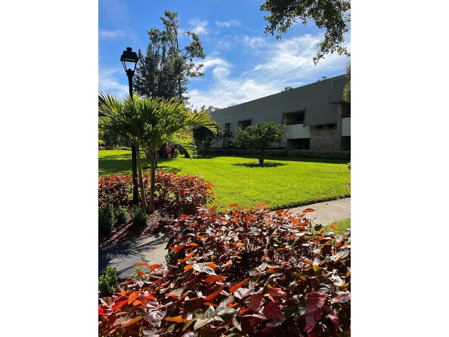 36750 Us Highway 19 N #6-109 Palm Harbor FL 34683 TB8502909 image1
