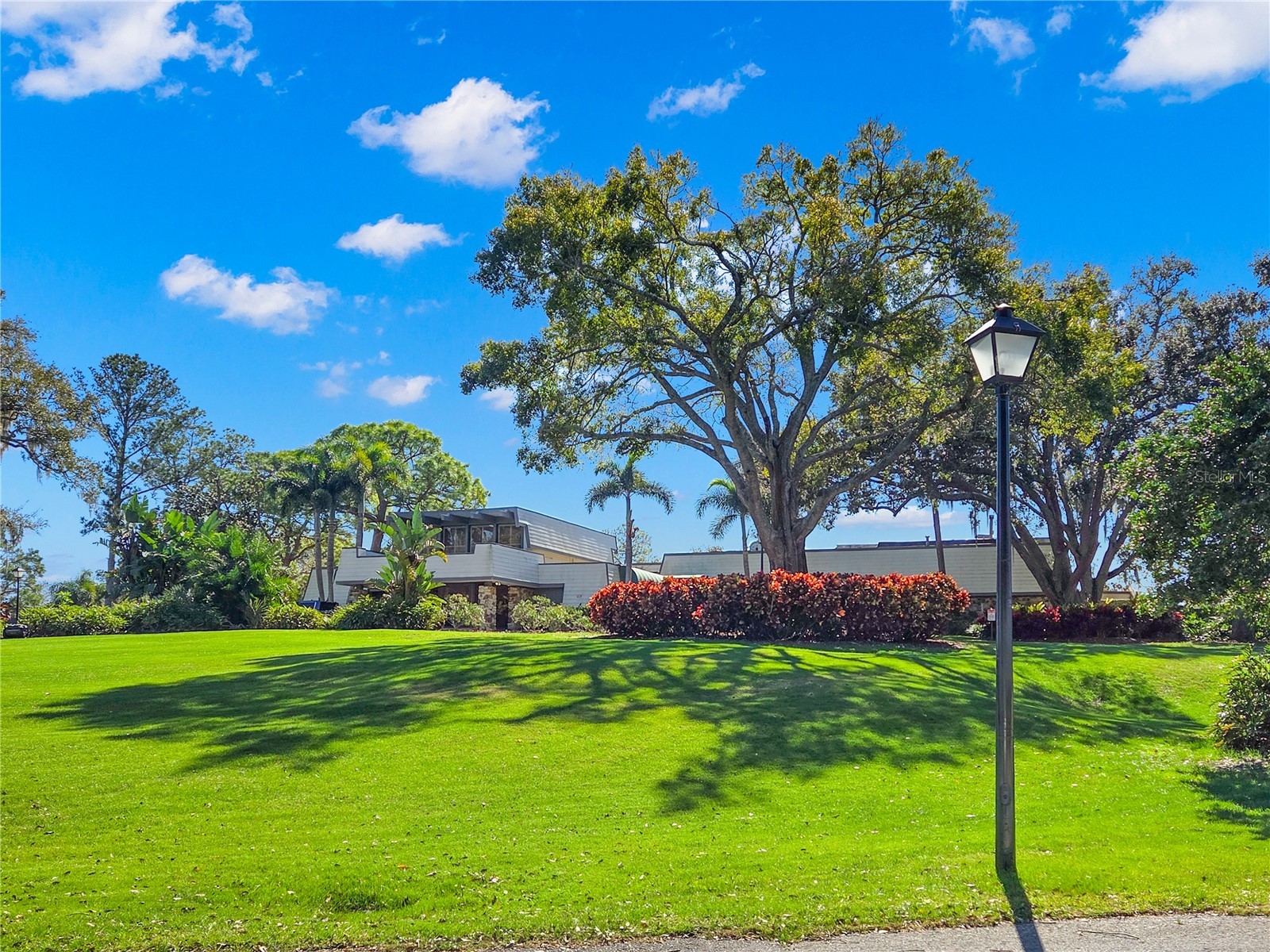 36750 Us Highway 19 N #6-111/2043 Palm Harbor FL 34683 TB8465868 image1