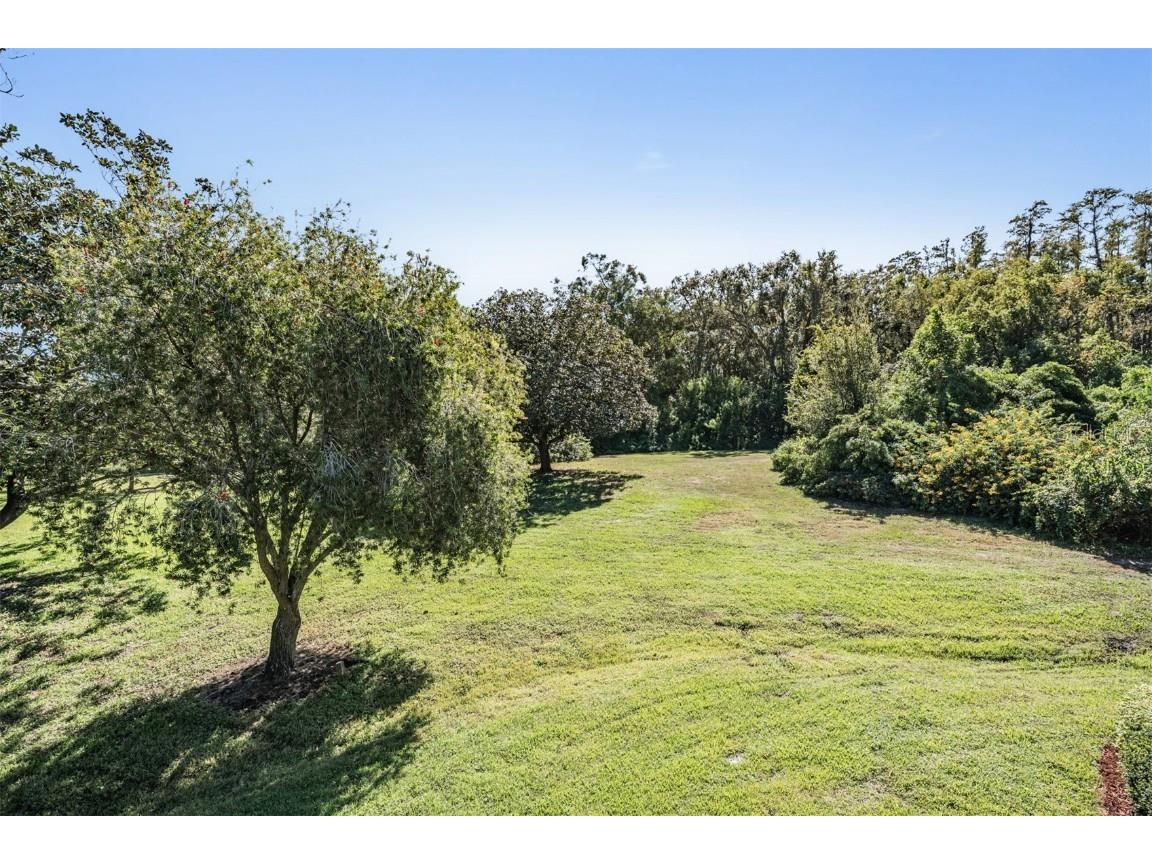 36750 Us Highway 19 N #6-214 Palm Harbor FL 34683 TB8448061 image30