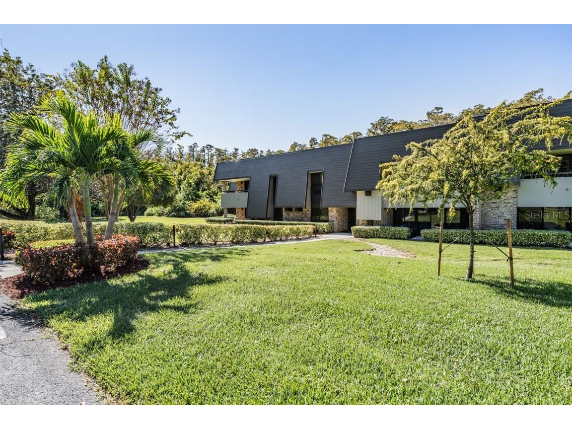 36750 Us Highway 19 N #6-214 Palm Harbor FL 34683 TB8448061 image33