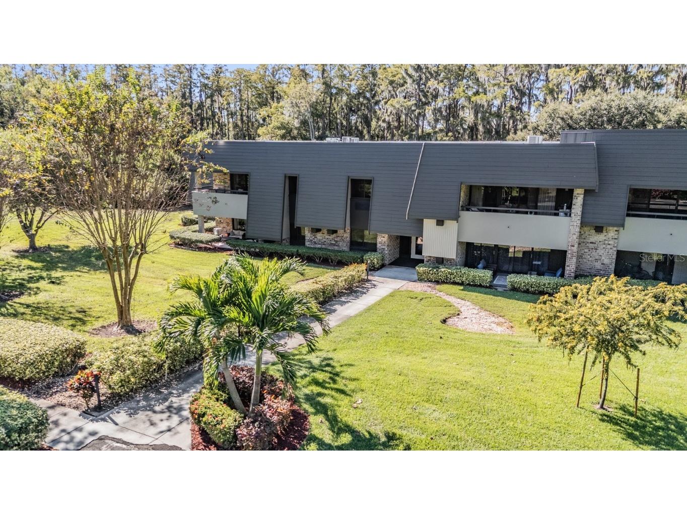 36750 Us Highway 19 N #6-214 Palm Harbor FL 34683 TB8448061 image36