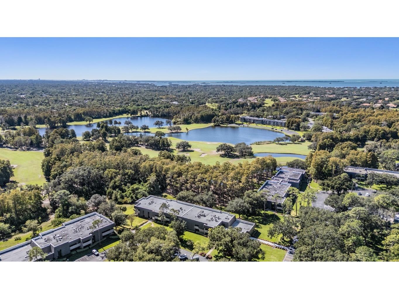 36750 Us Highway 19 N #6-214 Palm Harbor FL 34683 TB8448061 image39