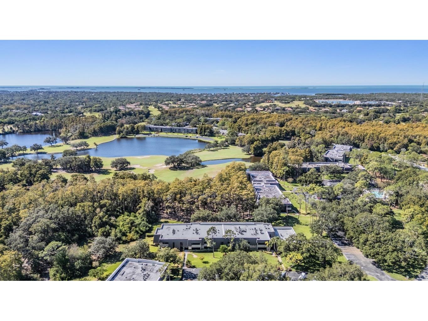 36750 Us Highway 19 N #6-214 Palm Harbor FL 34683 TB8448061 image40