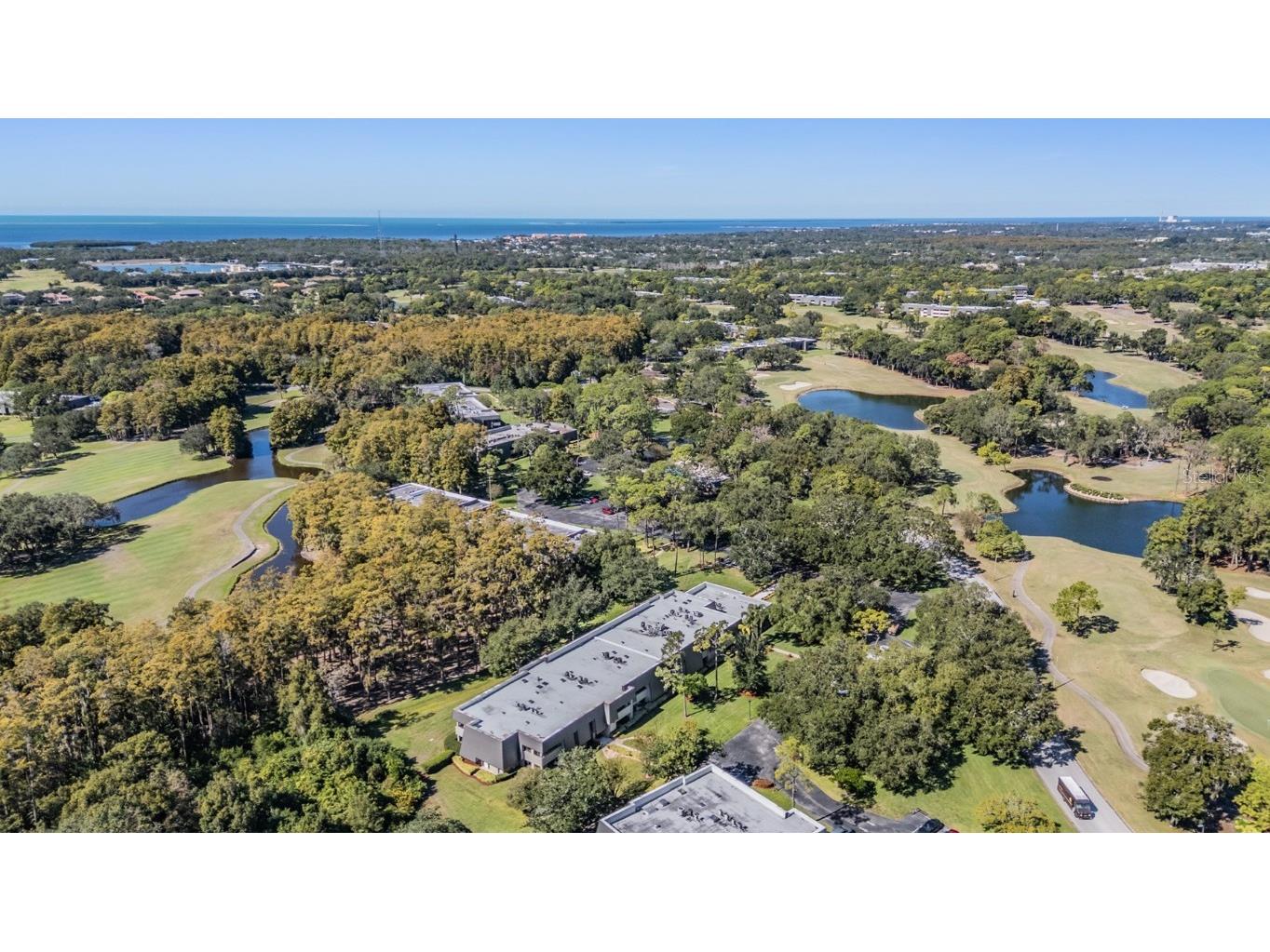 36750 Us Highway 19 N #6-214 Palm Harbor FL 34683 TB8448061 image41