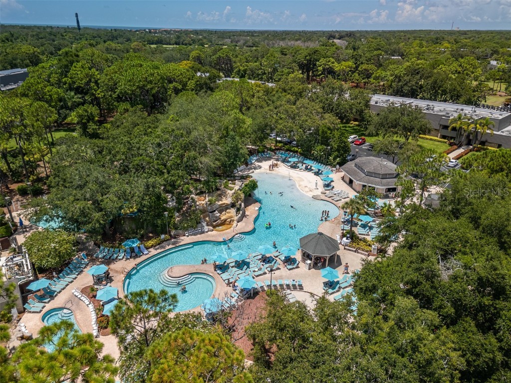 36750 Us Highway 19 N #6-214 Palm Harbor FL 34683 TB8448061 image44