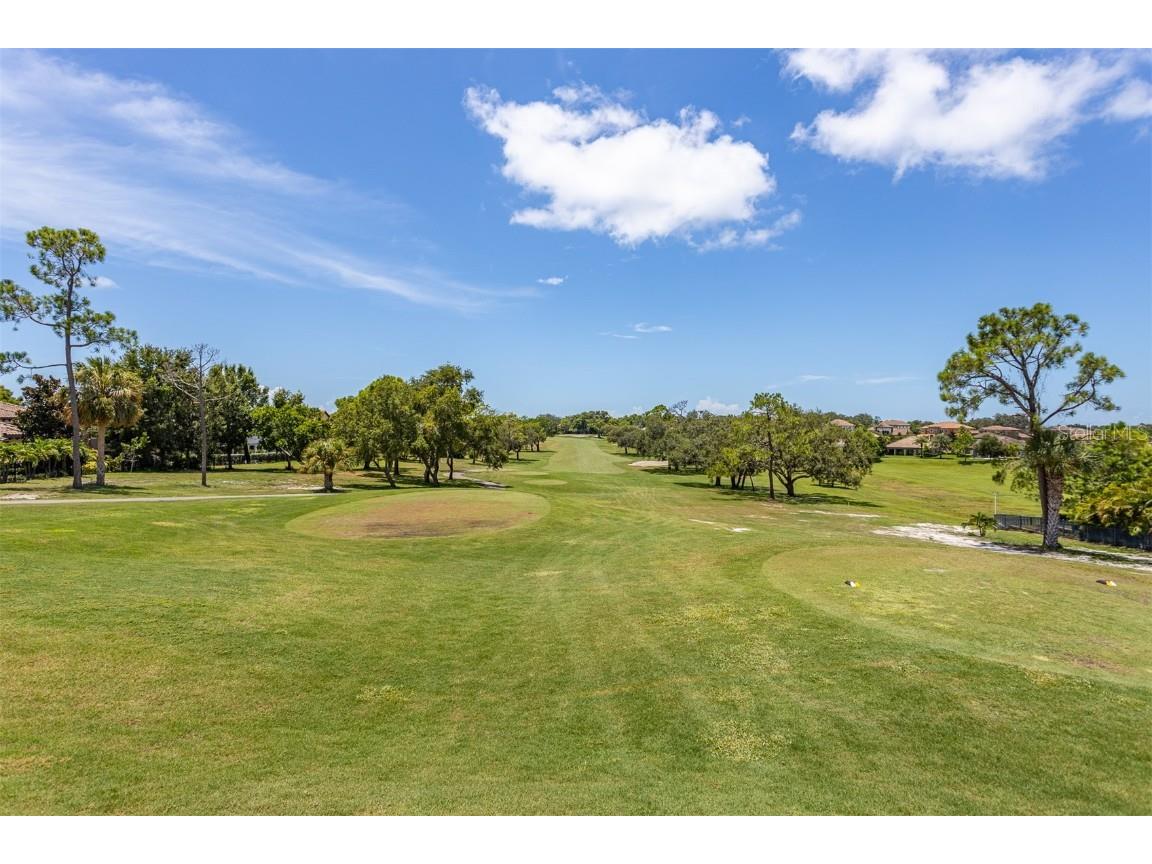 36750 Us Highway 19 N #6-214 Palm Harbor FL 34683 TB8448061 image53