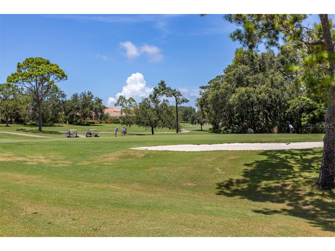 36750 Us Highway 19 N #6-214 Palm Harbor FL 34683 TB8448061 image55