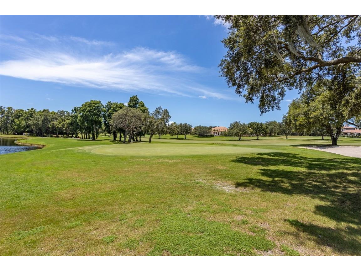 36750 Us Highway 19 N #6-214 Palm Harbor FL 34683 TB8448061 image56