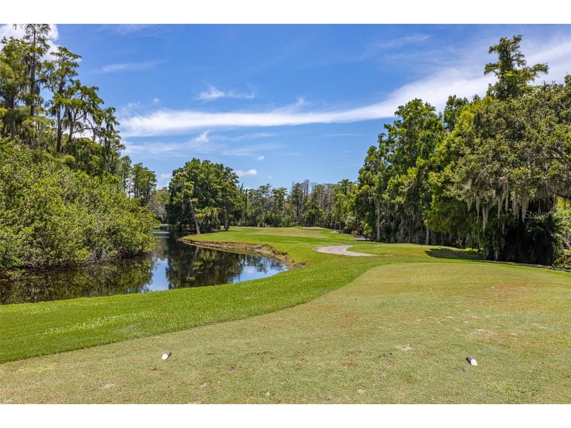 36750 Us Highway 19 N #6-214 Palm Harbor FL 34683 TB8448061 image57