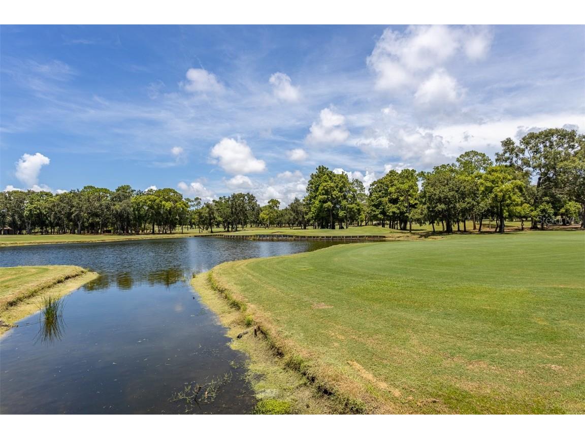 36750 Us Highway 19 N #6-214 Palm Harbor FL 34683 TB8448061 image58