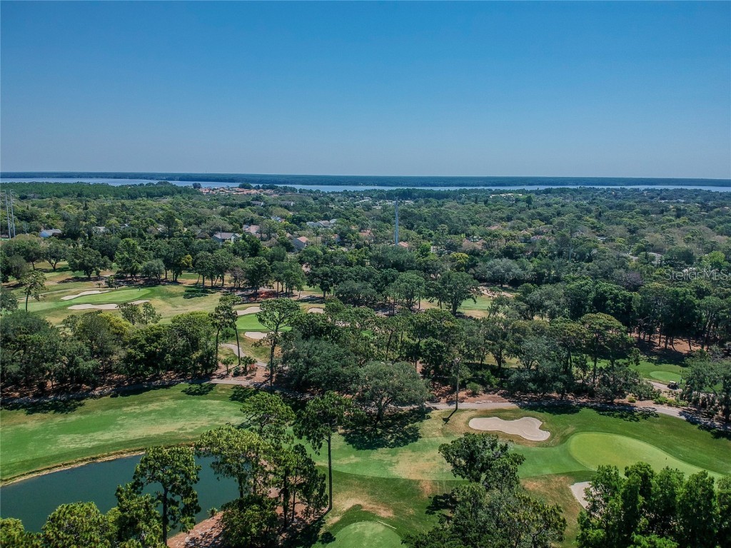 36750 Us Highway 19 N #6-214 Palm Harbor FL 34683 TB8448061 image65