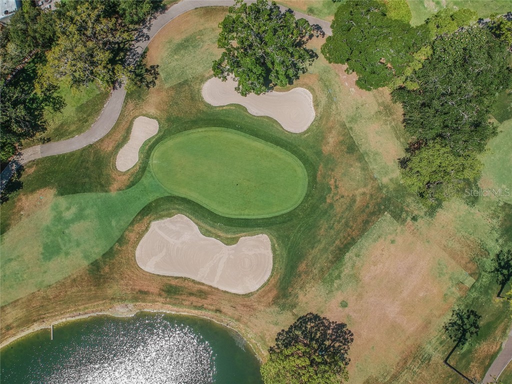 36750 Us Highway 19 N #6-214 Palm Harbor FL 34683 TB8448061 image68