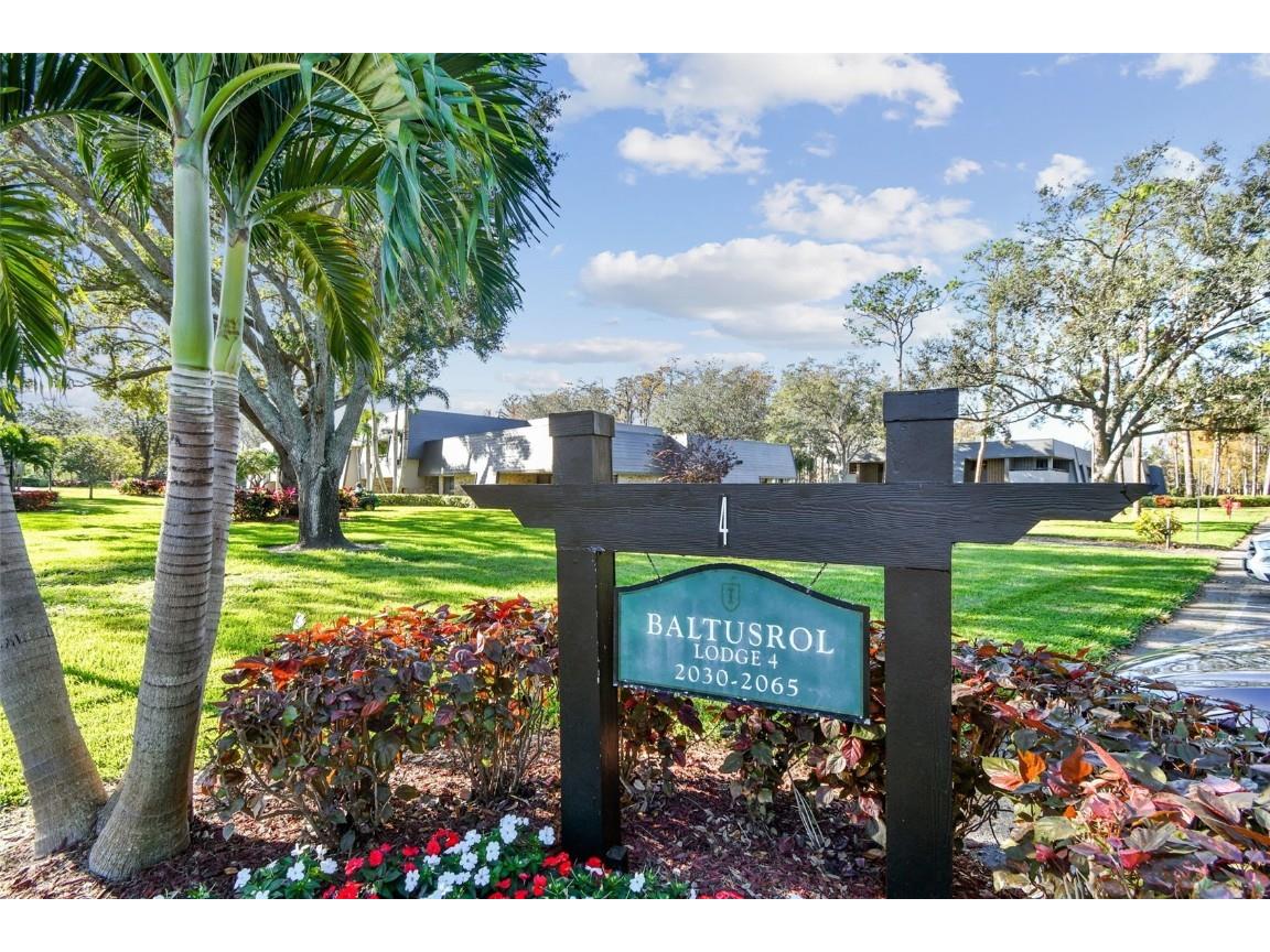 36750 Us Highway 19 N #6112 Palm Harbor FL 34684 TB8332625 image1