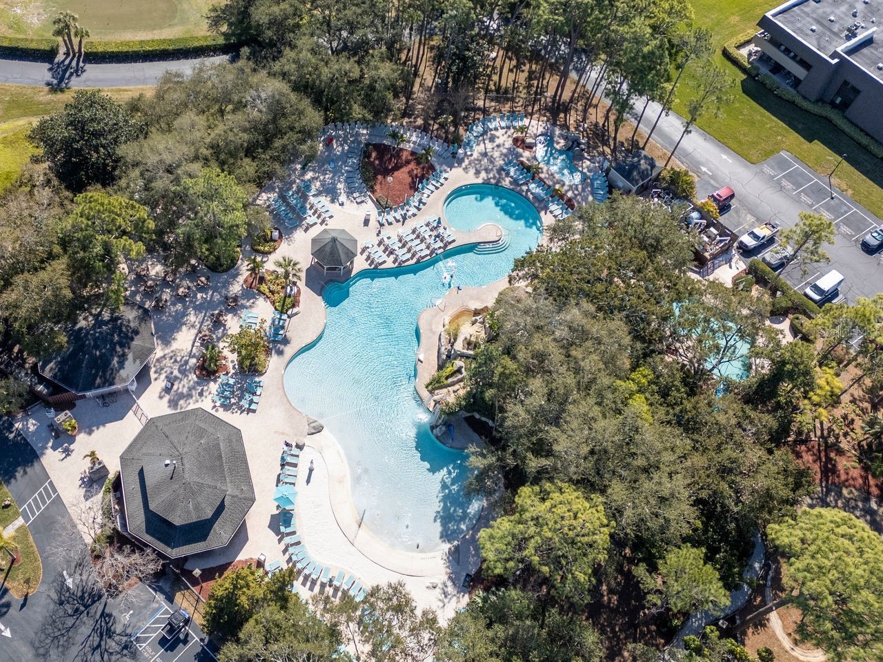 36750 Us Highway 19 N #7-108 Palm Harbor FL 34683 TB8487524 image22